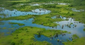 Bihar Gets Two New Ramsar Sites