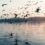 A New Perspective on Delhi: Scenic Cruises on the Yamuna