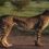 India’s First Cheetah Safari Opens in Kuno National Park — A Wild Homecoming