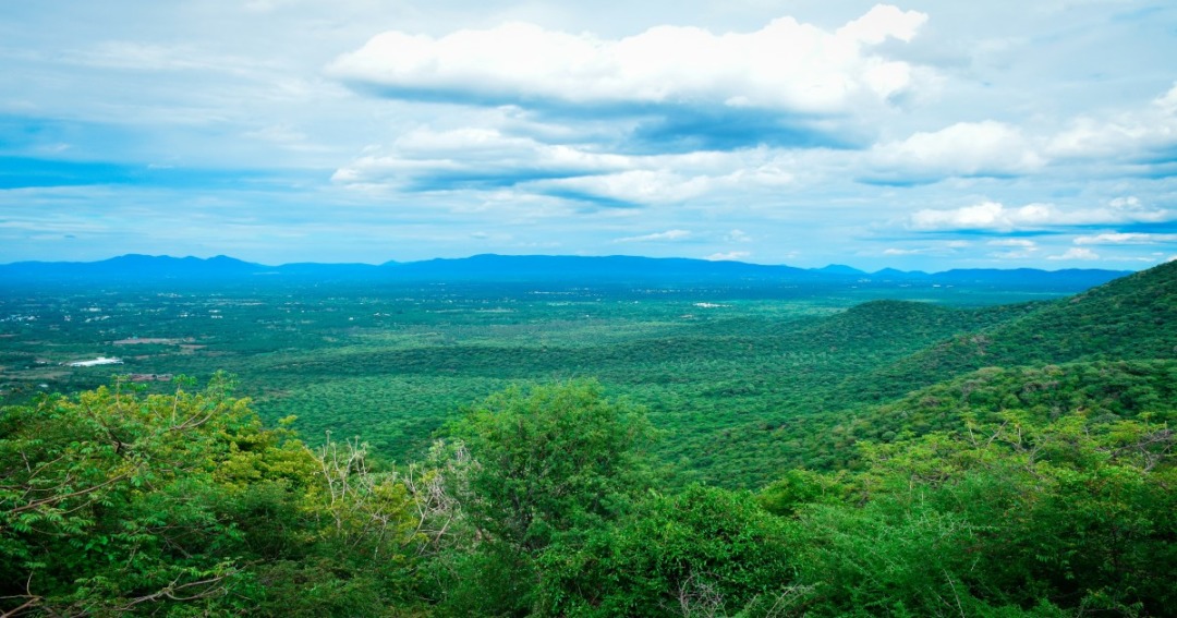 â‚¹14.8-Crore Tourism Boost for Dindigul: Sirumalai, Waterfalls Set for Major Upgrades