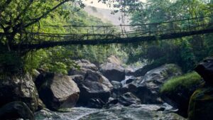 Meghalaya Submits Living Root Bridges For Unesco World Heritage Listing