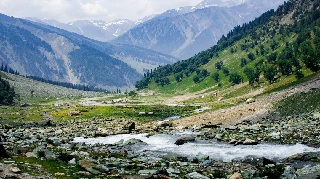 Jammu & Kashmir Reopens 14 Tourist Spots, Signalling a Quiet but Hopeful Comeback