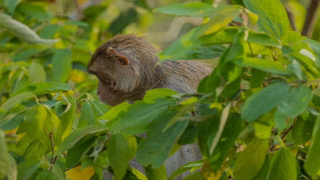 Weekends Packed, Bookings Rising