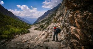 Gangotri National Park Opens for 2026 Season: Trekking Routes, Permits & Best Time to Visit
