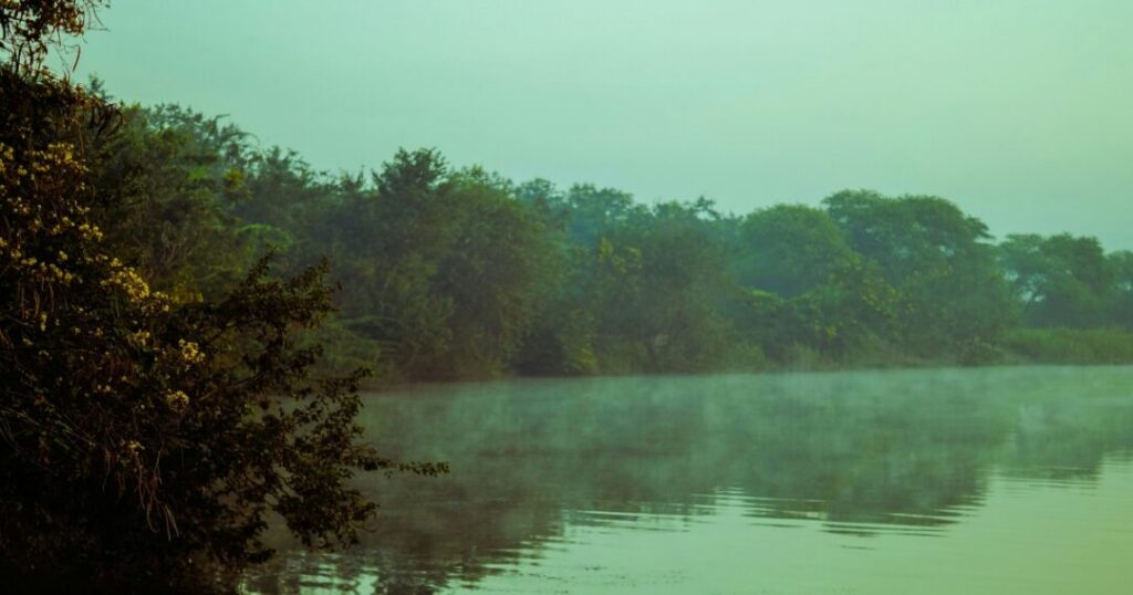 Travel in Chhattisgarh Feels Real Again