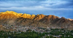 Ladakh Wants To Turn Its Cold Desert Into Flower Valleys — And Travellers Are Fascinated