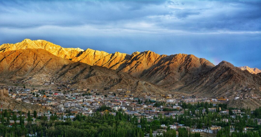 Ladakh Wants To Turn Its Cold Desert Into Flower Valleys — And Travellers Are Fascinated