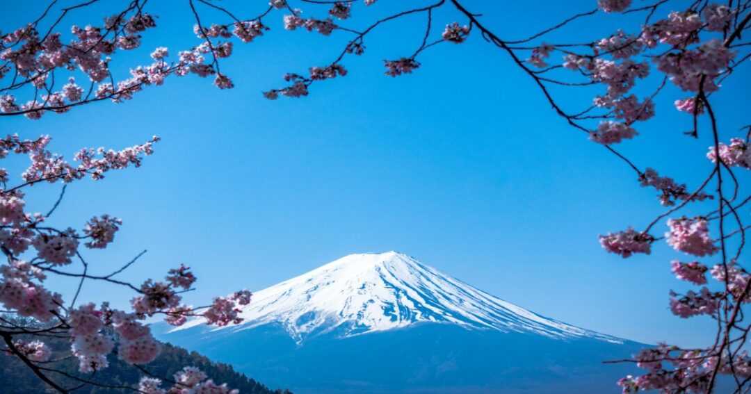 Japan’s Tourism Boom Sparks Higher Taxes And Tougher Crowd Control Measures