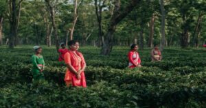 India’s Travel Trends Shift as Jorhat Becomes the Country’s Fastest-Rising Destination