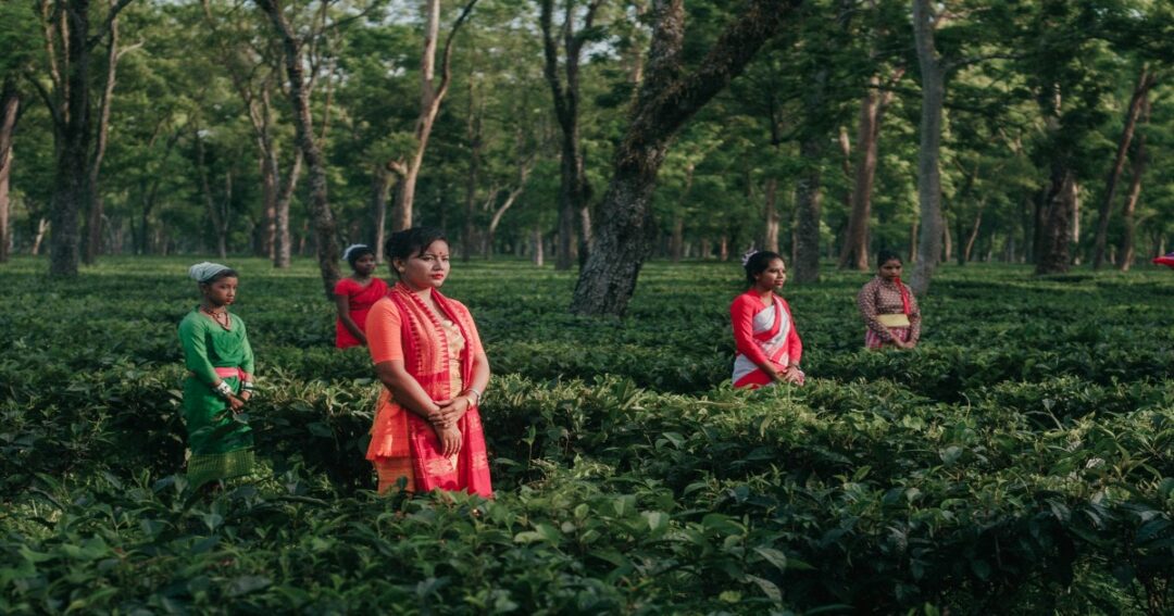 India’s Travel Trends Shift as Jorhat Becomes the Country’s Fastest-Rising Destination