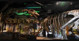 Thailand Discovers Southeast Asia’s Largest Dinosaur From 100-Million-Year-Old Fossils