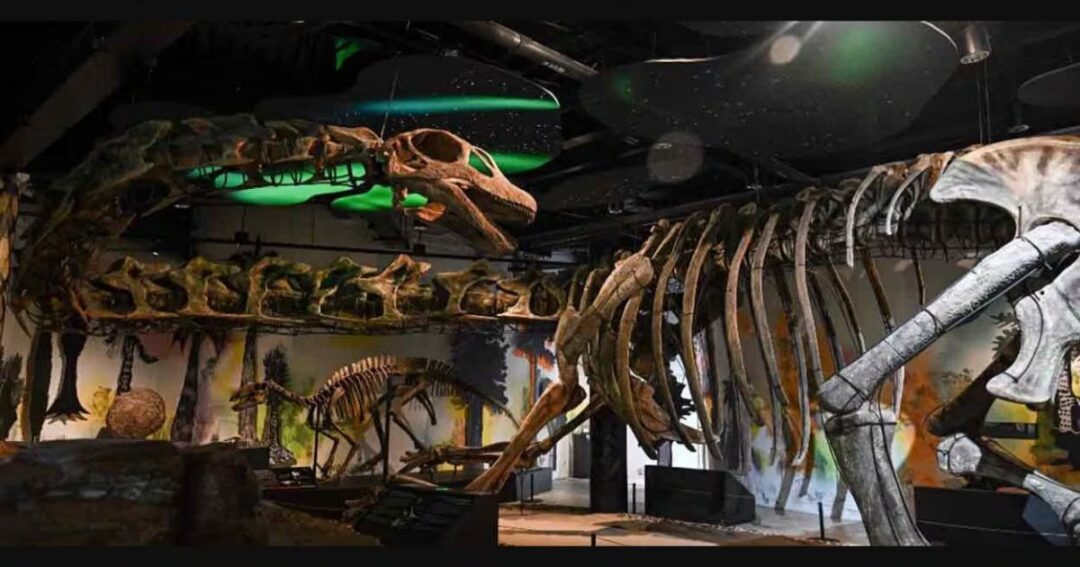 Thailand Discovers Southeast Asia’s Largest Dinosaur From 100-Million-Year-Old Fossils