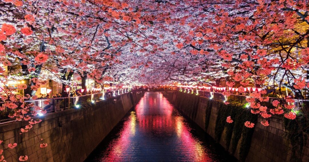Japan Visa Fees Set for Major Hike in 2026