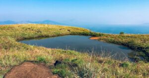 Brand Wayanad